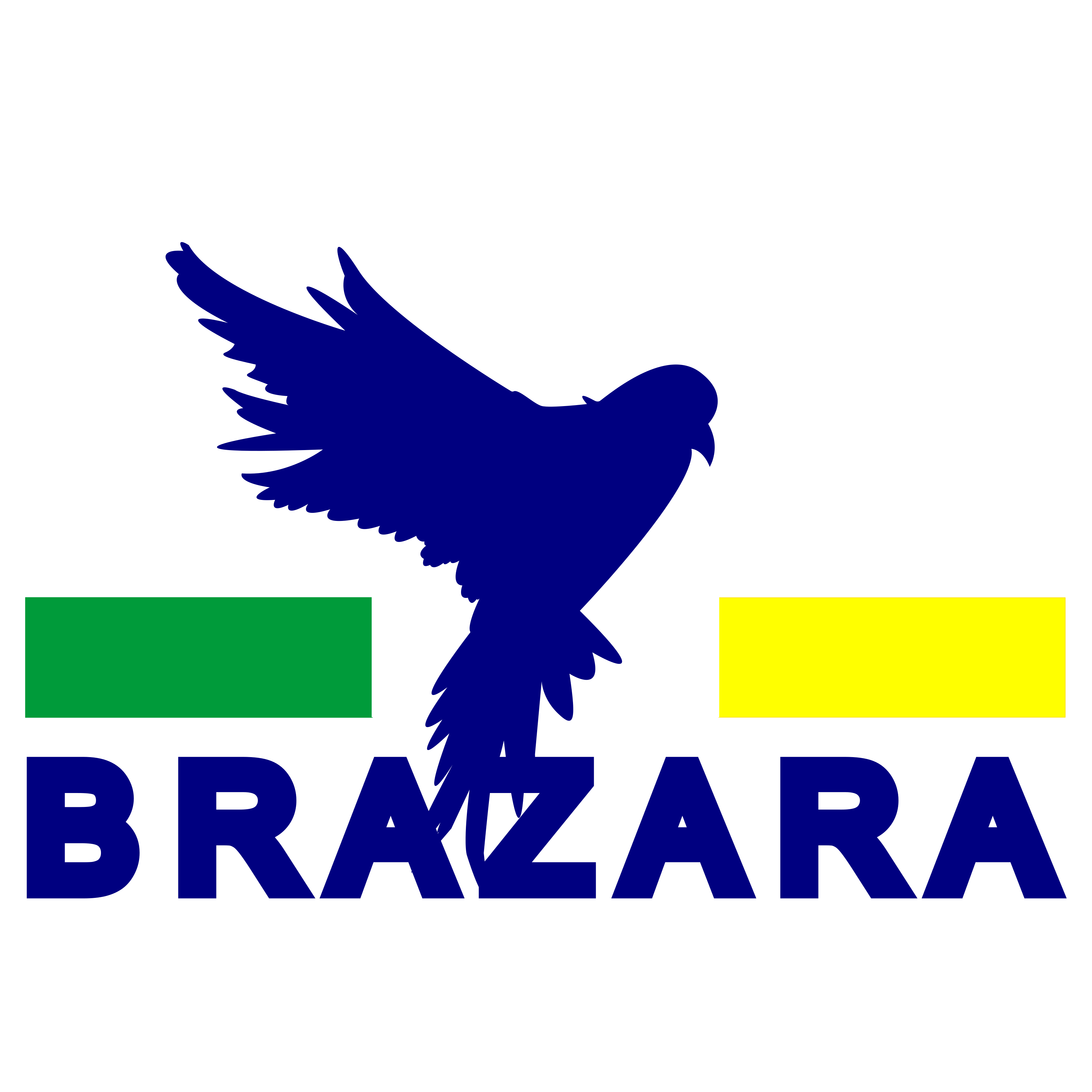 brazara wear logo